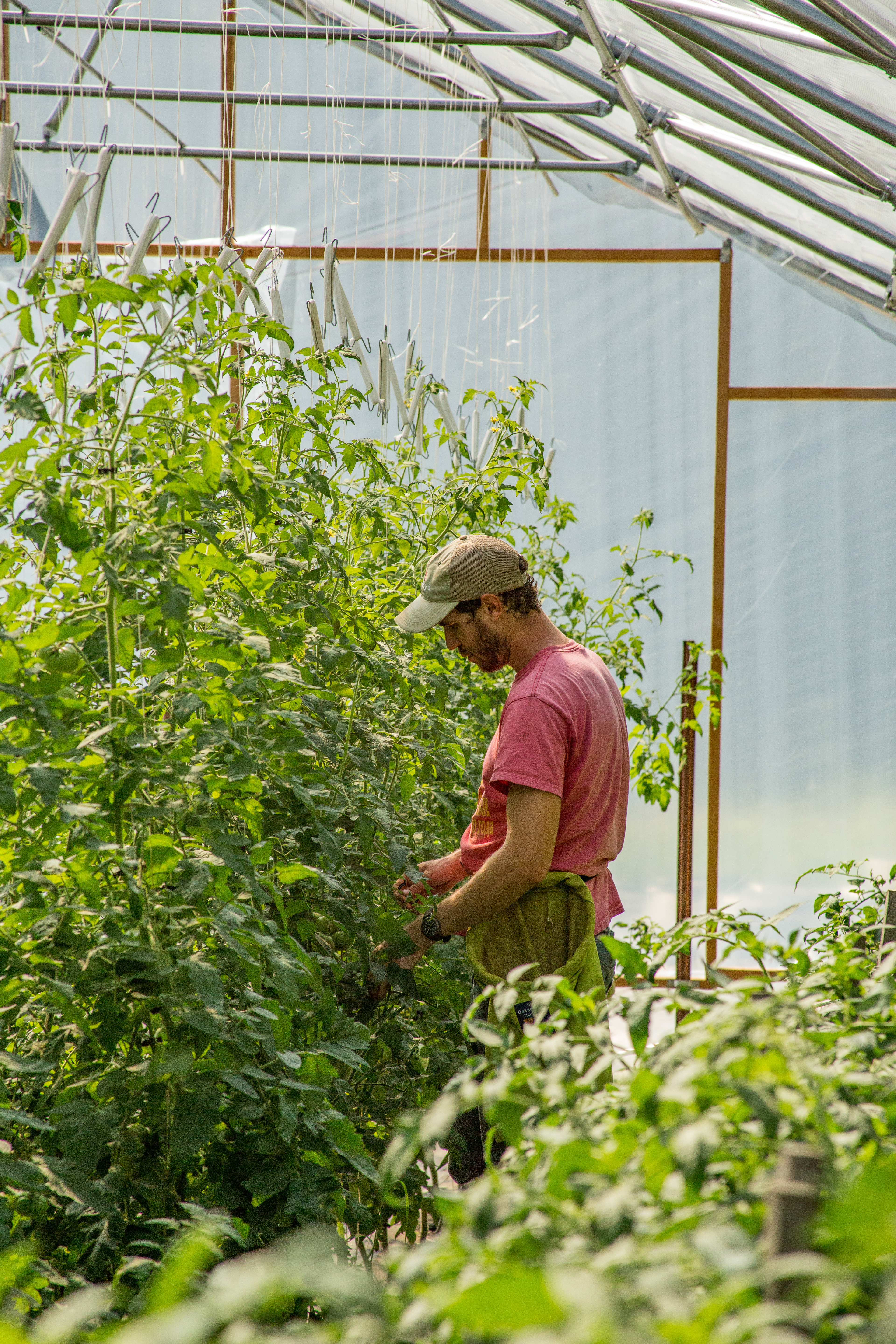 CT Greenhouse Farmer
