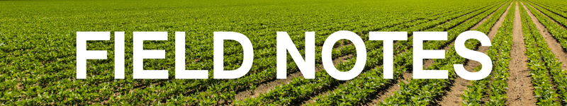 field-notes-banner-new.jpg