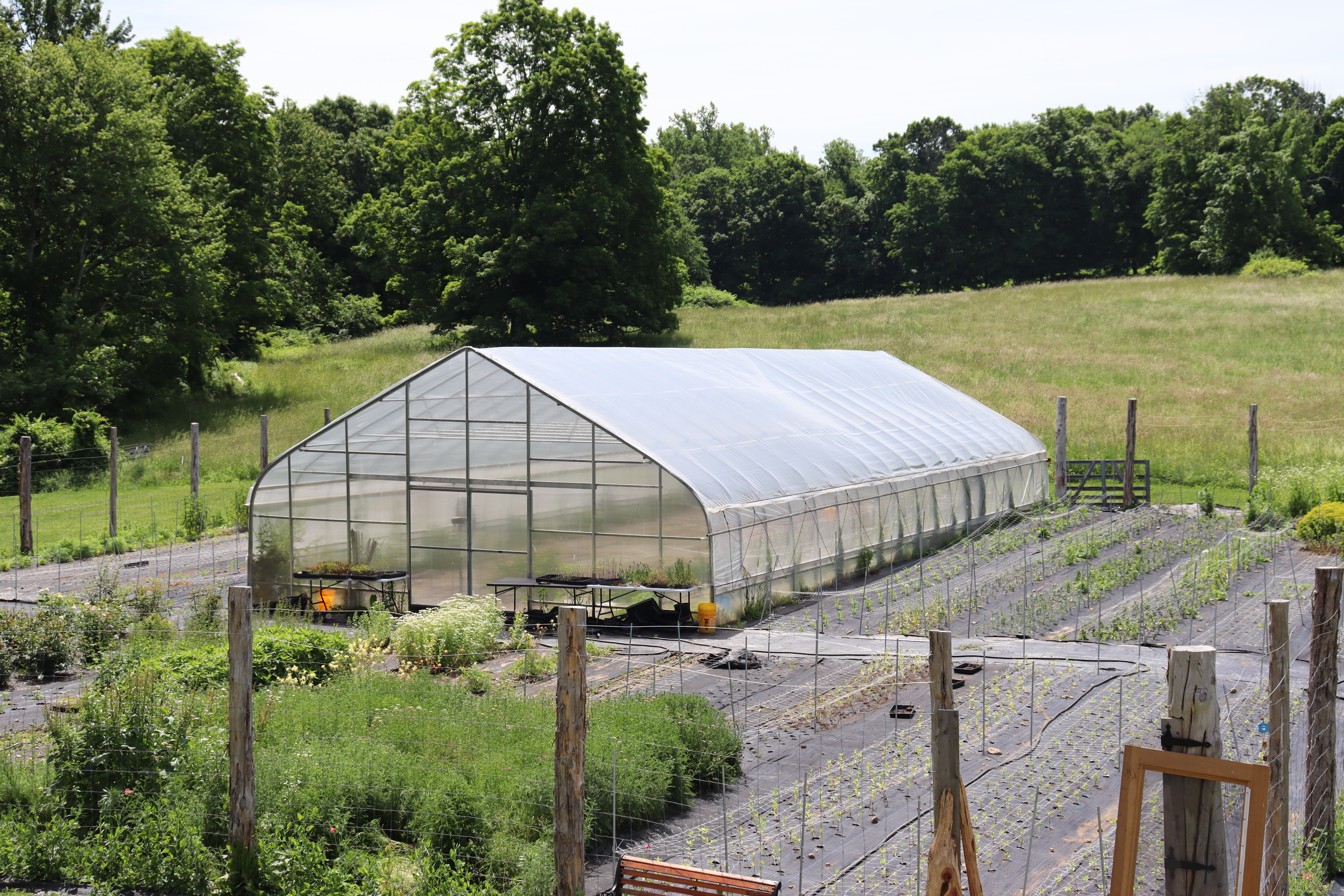 NRCS High Tunnel Eligibility: Who Qualifies NRCS-eligible high tunnel on a farm field, a CT Greenhouse kit eligible for USDA EQIP cost-share funding