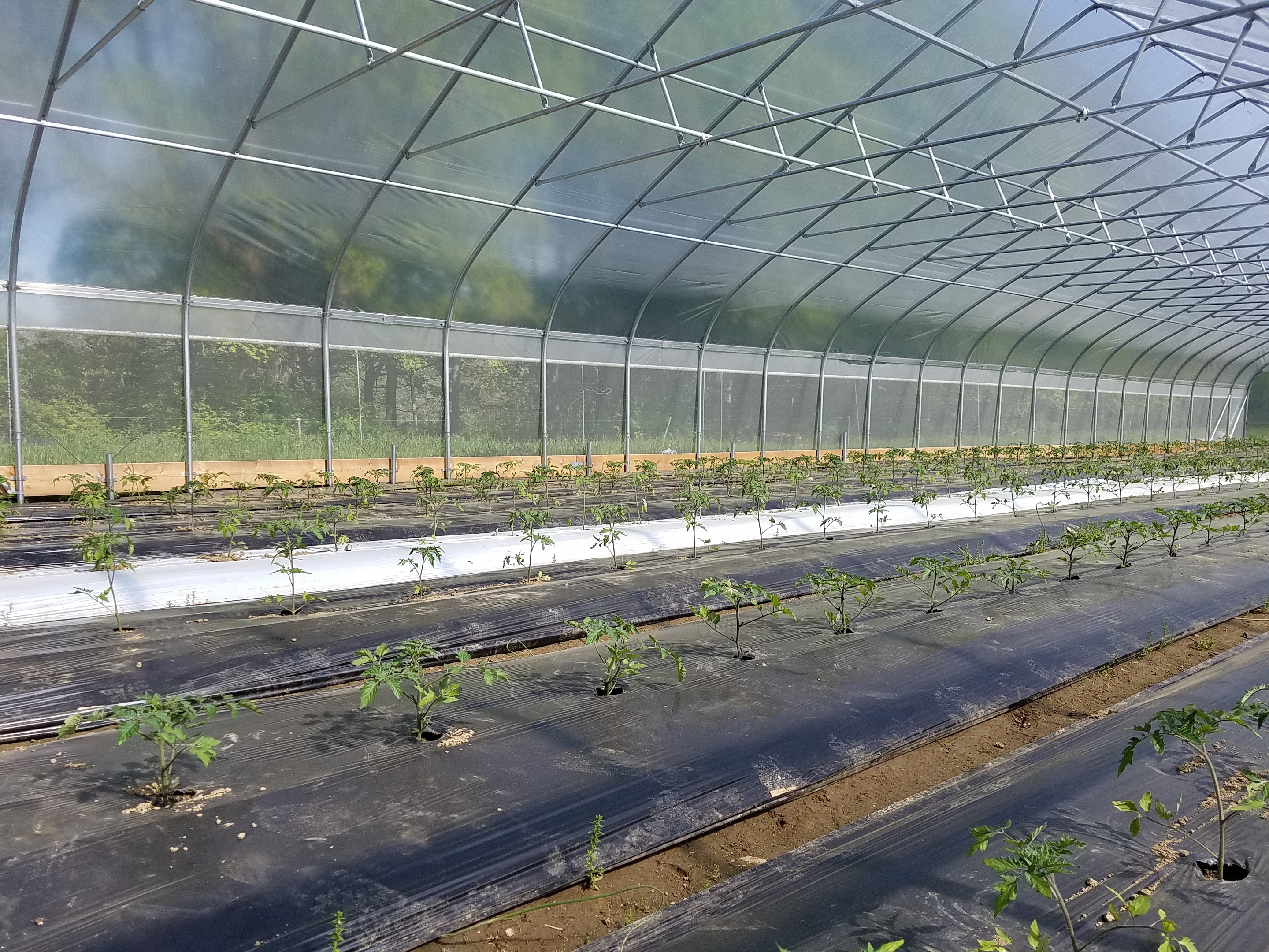 nrcs high tunnel crops production